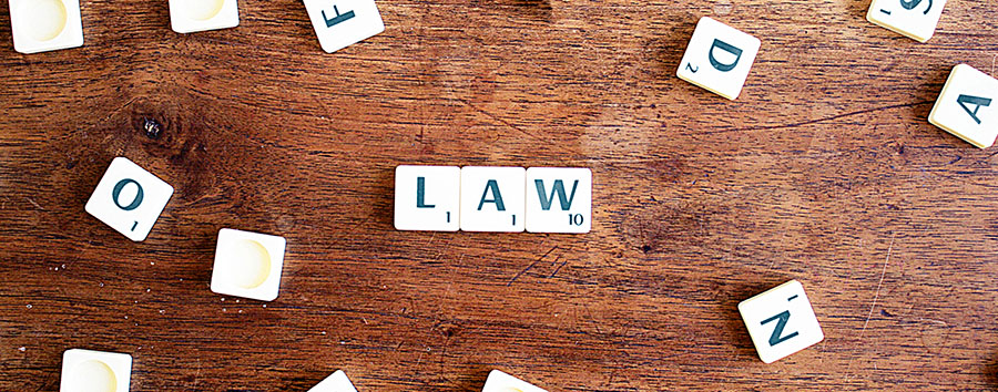 Steininger Rechtsanwälte